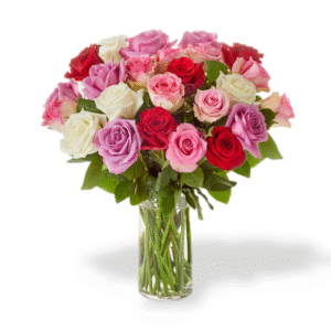 Rainbow of Roses