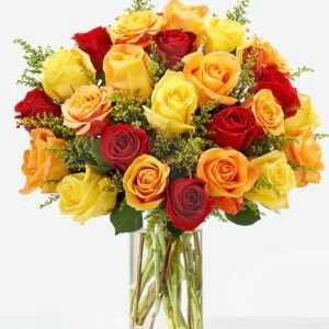 24 Color Roses with Greens