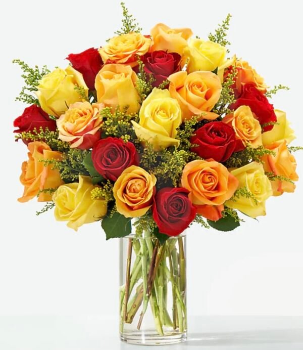 24 Color Roses with Greens