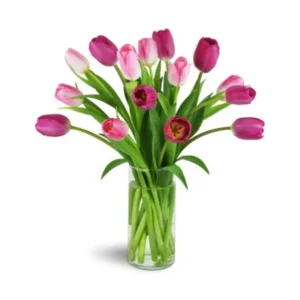 Spring Awakening