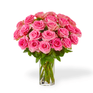 Pinky Romance